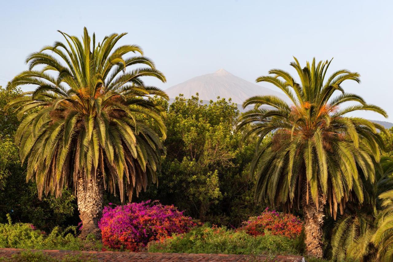Apartment With Mount Teide And Sea Views Santa Úrsula المظهر الخارجي الصورة